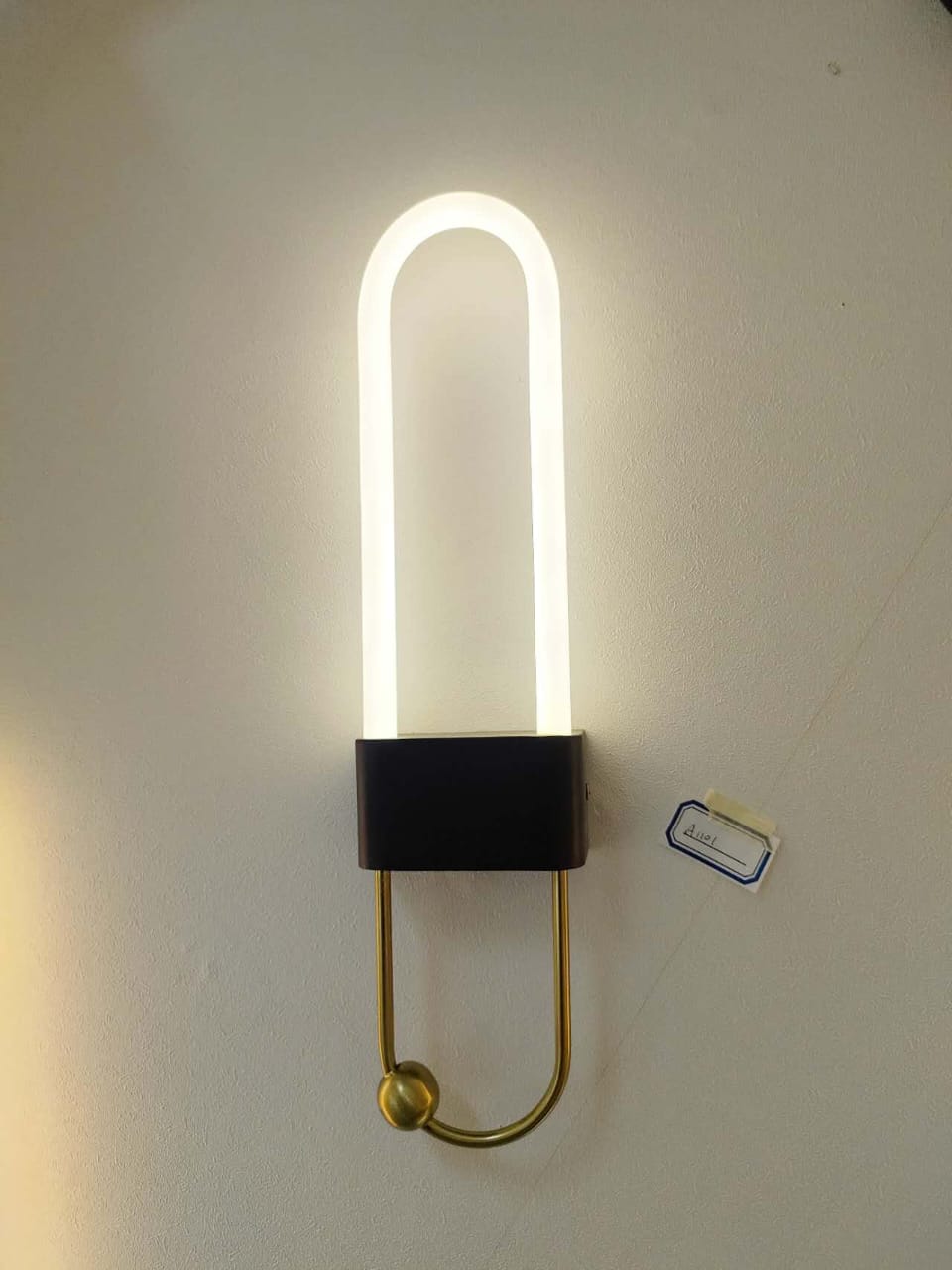 Modern Led oval Wall