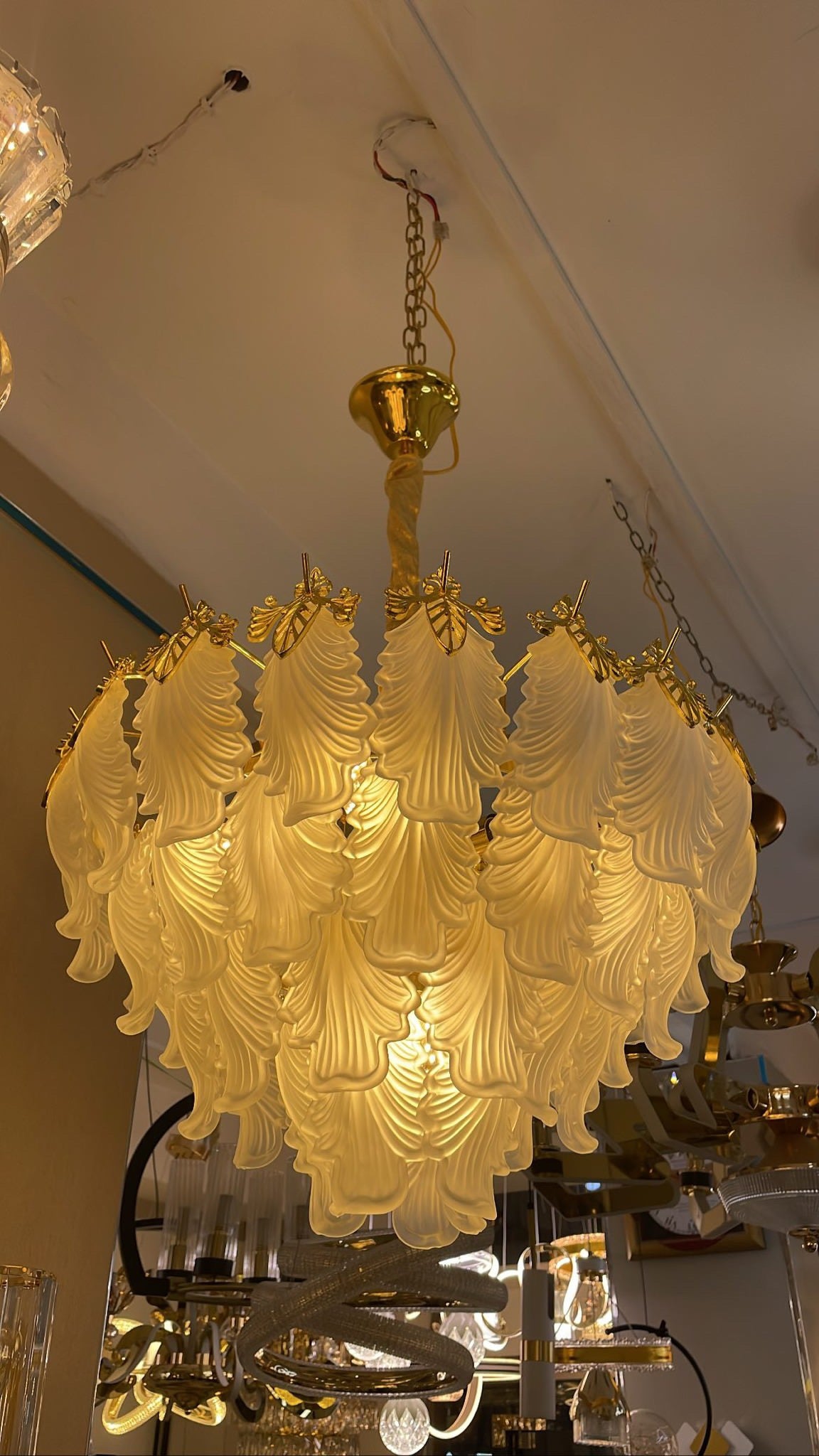 Modern crystal Chandelier