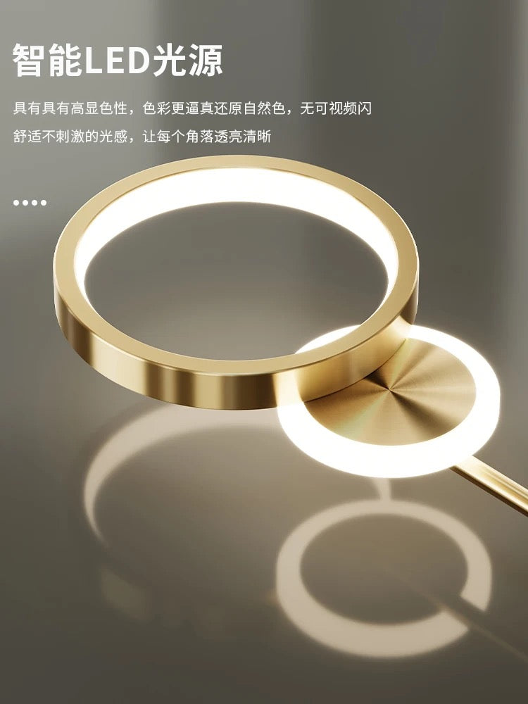 Modern Led RingWall Light