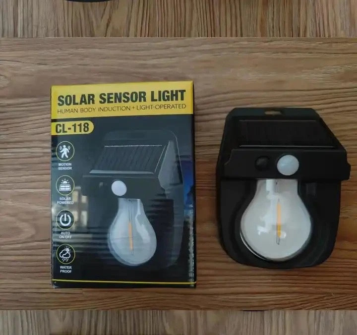 Solar Motion Sensor Light
