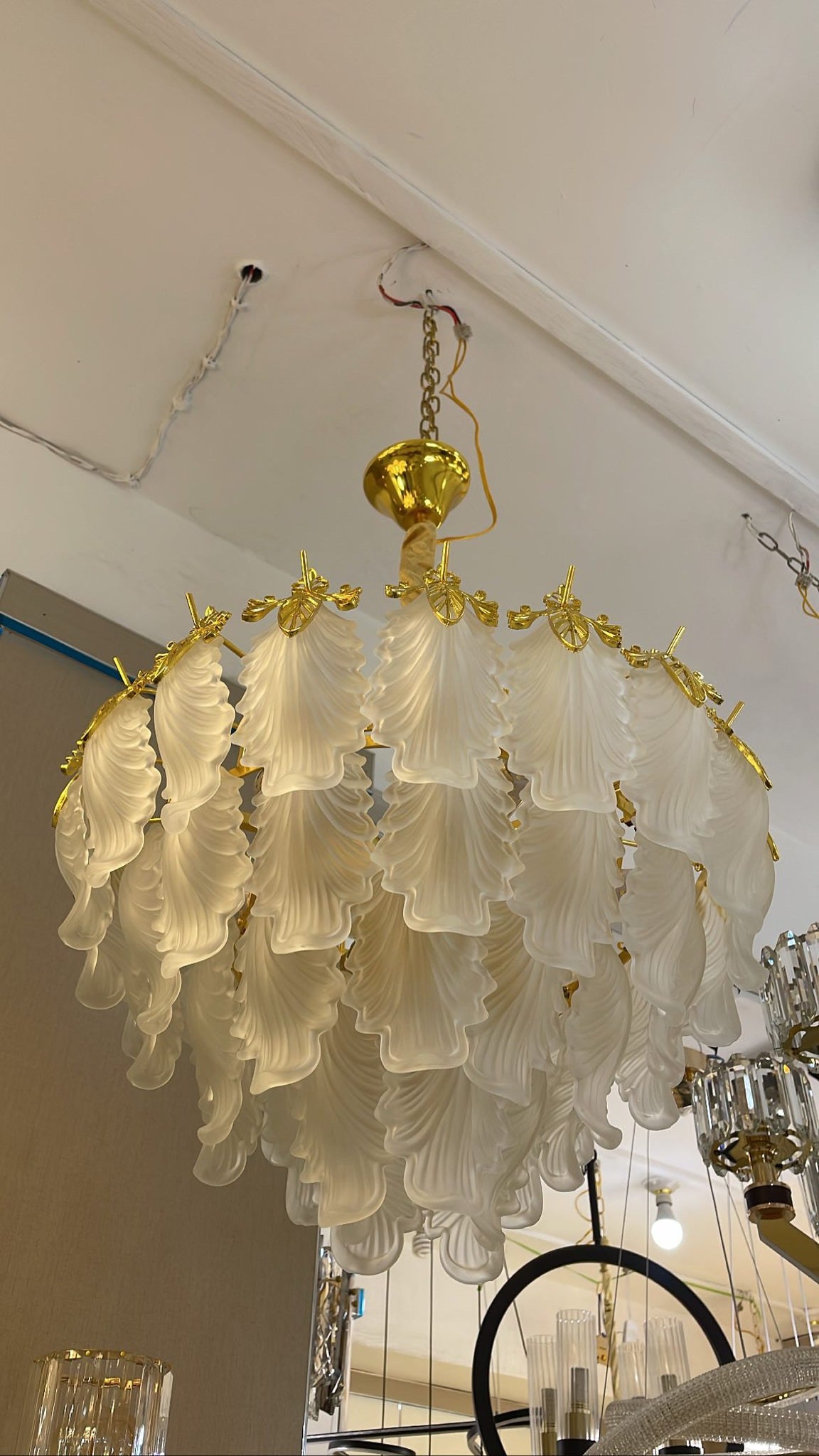 Modern crystal Chandelier